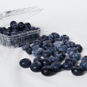 blueberry-3