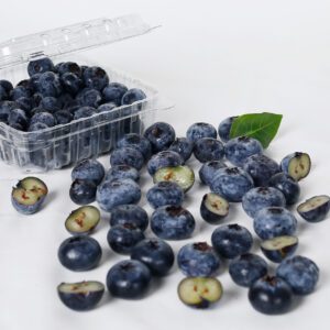 blueberry-4